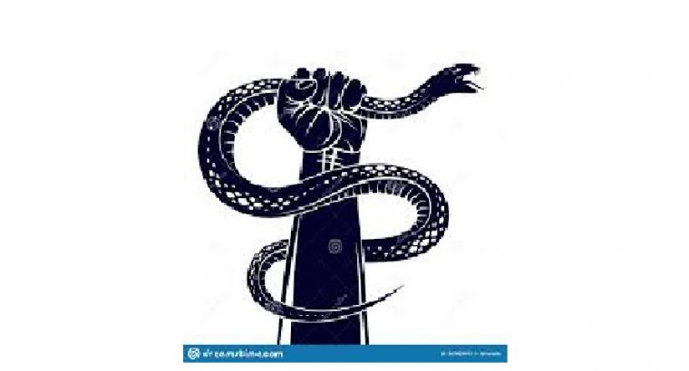 Snake Master – Subhas Dewangan