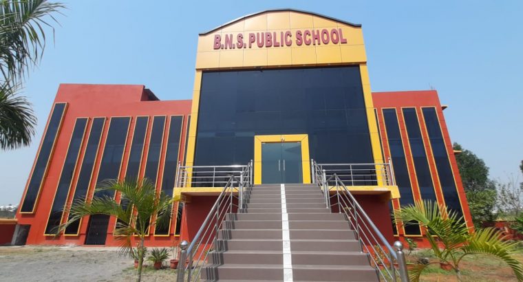 BNS PUBLIC SCHOOL